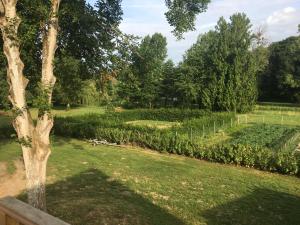 studio avec terrasse Abbaye d'Aiguevive外面的花园