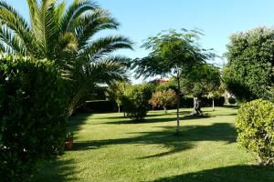 A garden outside Pension Casa Carmela