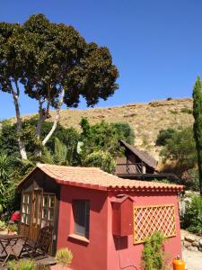Príroda v okolí of the country house