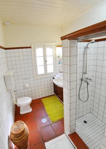 a bathroom with a shower and a toilet and a sink at Domus Nostos in Apolpaina