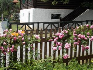 Taman di luar Apartment Matogi