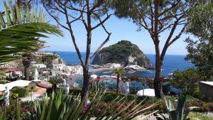 a view of the beach from a resort with trees at Hotel Casa Adolfo Ischia in Ischia