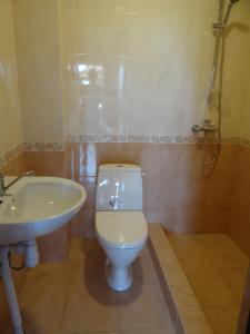 a bathroom with a toilet and a sink at Cottages on Polyova in Zgorany +34 photos