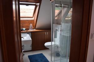 y baño con aseo y ducha acristalada. en Apartman Mala Strana en Praga