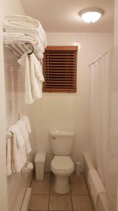 a bathroom with a toilet and a window and towels at 2-Bedroom Apartment Sweet #5 by Amazing Property Rentals in Gatineau