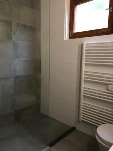 DeutschgriffenにあるVakantiewoning Karinthiëのバスルーム(シャワー、トイレ付)、窓が備わります。