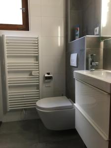 DeutschgriffenにあるVakantiewoning Karinthiëの白いバスルーム(トイレ、シンク付)