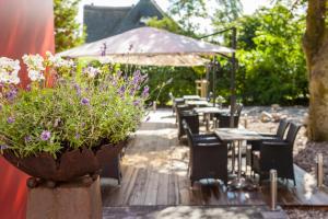 Zahrada ubytování Das Frühstückshotel Sankt Peter-Ording