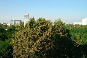 a tree in front of a city with tall buildings at 1 Bedroom Francuska Park Apartment in Katowice