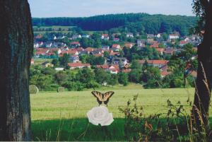 Příroda nedaleko prázdninového domu + 3 fotografie
