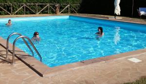 The swimming pool at or close to Agriturismo Il Morello