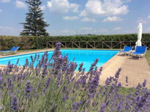 The swimming pool at or close to Agriturismo Il Morello