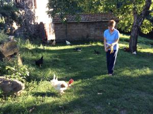 A garden outside Agriturismo Il Morello