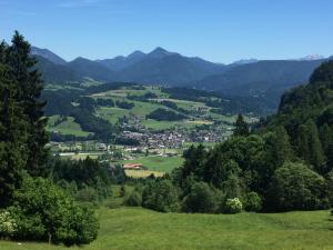 a view of a village in the mountains at Riedlhof in Kössen