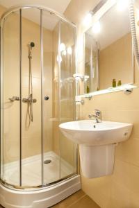 un bagno con doccia e lavandino di Pensiunea Andrei Rm Valcea a Râmnicu Vâlcea Altre 37 foto