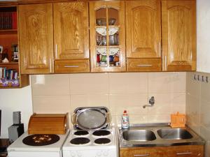Cucina o angolo cottura di Guesthouse Durmitor Magic