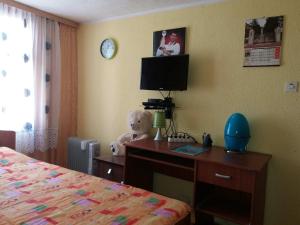 TV o dispositivi per l'intrattenimento presso Guesthouse Durmitor Magic