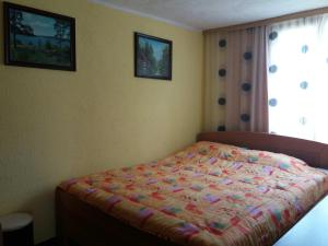 Letto o letti in una camera di Guesthouse Durmitor Magic