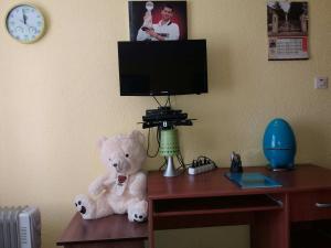 TV o dispositivi per l'intrattenimento presso Guesthouse Durmitor Magic