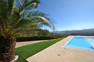 una palmera sentada junto a una piscina en Villa Bouganvillae, en Cugnana