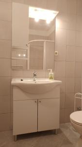 Koupelna v ubytování Apartmani Kaštelan