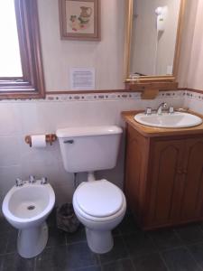 a bathroom with a toilet and a sink at Hosteria Belvedere in Villa La Angostura