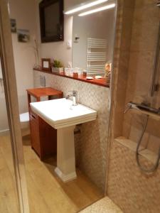 a bathroom with a sink and a shower at Salamandre et Hippocampe in Lanton +39 photos