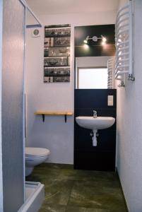 a bathroom with a sink and a toilet at Sowia Grapa Walim Góry Sowie in Rzeczka