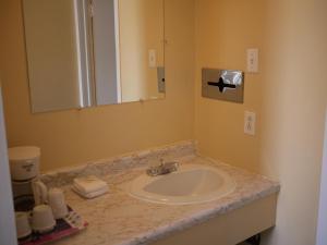 a bathroom with a sink and a mirror at Motel Rive Du Lac in Saint-Zotique +18 photos