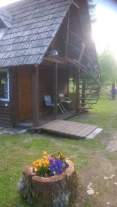 a tree stump with a flower pot in front of a cabin at Dižāpas in Usma