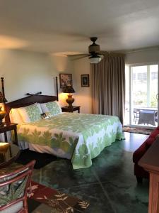 Postel nebo postele na pokoji v ubytování Hale Pua Villa - Seaside Studio