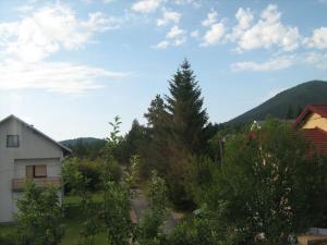 - une vue sur une cour avec une maison et un arbre dans l'établissement Apartment Jopa, à Korenica
