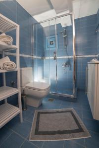 La salle de bains bleue est pourvue de toilettes et d'une douche. dans l'établissement Almyra Guesthouse, à Skiros