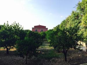 una casa en medio de una fila de árboles en I Frangiventi en Rodi Garganico