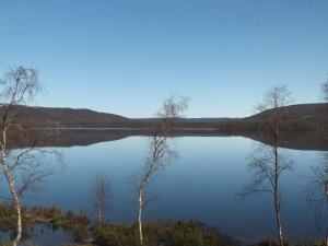 ウツヨキにあるBed & Breakfast Pohjan Tuliの水に反射する木々の湖