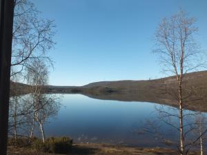 a view of a lake with trees in the foreground at Bed & Breakfast Pohjan Tuli in Utsjoki