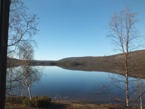 ウツヨキにあるBed & Breakfast Pohjan Tuliの手前に樹木が植えられた湖の景色