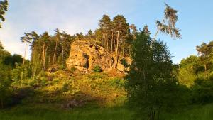 a large rock in the middle of a forest at Chalupa Pod Drábskými světničkami in Mnichovo Hradiště