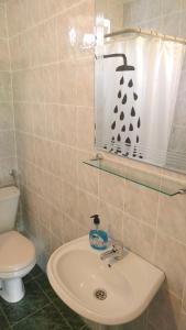 Koupelna v ubytování Apartmani Kaštelan