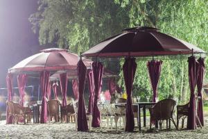 Fotografie z fotogalerie ubytování Albatros v destinaci Kalaraši
