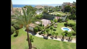 una vista aérea de un parque con una palmera en Real Torrequebrada, en Benalmádena