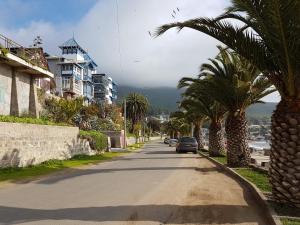 a car driving down a street with palm trees at La mejor vista de Papudo in Papudo