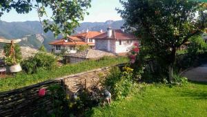 un chat assis dans l'herbe à côté d'un mur dans l'établissement Semana Guesthouse, à Vrata