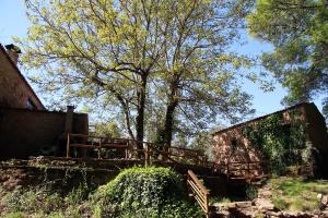 a wooden bridge in a field with a tree at Sete Quintas in Miranda do Corvo