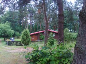 スタレ・ヤブウォンキにあるdom letniの森の中の赤い小屋