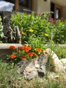 A garden outside Gasthof Sprenger