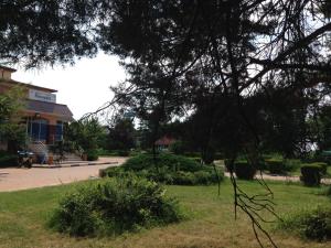 Κήπος έξω από το Casa Lidia și Gogu