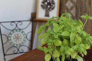 Zahrada ubytování Agriturismo I Casamenti
