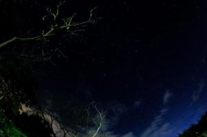 Fotografie z fotogalerie ubytování 玉蟾園民宿 寵物友善 YuChanYuan B&B v destinaci Chishang