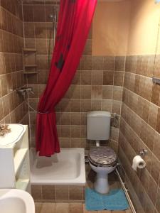 a bathroom with a toilet and a red shower curtain at Attraktives Häuschen Glogauer in Hamburg